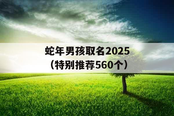 蛇年男孩取名2025(特别推荐560个) 蛇年男孩取名2025(特别推荐560个)