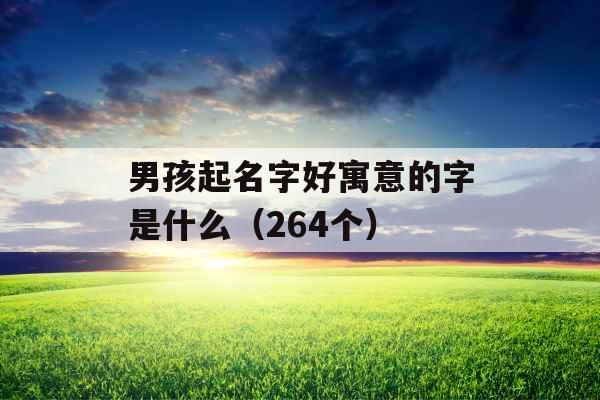 男孩起名字好寓意的字是什么(264个) 男孩起名字好寓意的字是什么(264个)