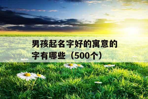 男孩起名字好的寓意的字有哪些(500个) 男孩起名字好的寓意的字有哪些(500个)