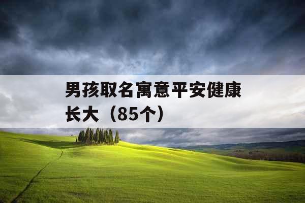 男孩取名寓意平安健康长大(85个) 男孩取名寓意平安健康长大(85个)