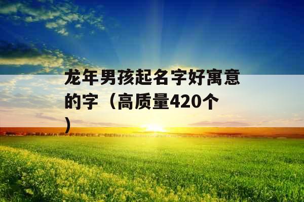 龙年男孩起名字好寓意的字(高质量420个) 龙年男孩起名字好寓意的字(高质量420个)