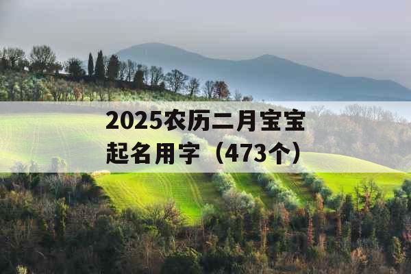2025农历二月宝宝起名用字(473个) 2025农历二月宝宝起名用字(473个)