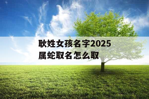 耿姓女孩名字2025属蛇取名怎么取