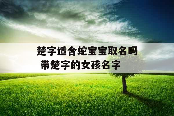 楚字适合蛇宝宝取名吗 带楚字的女孩名字