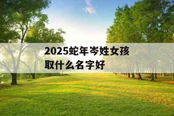 2025蛇年岑姓女孩取什么名字好