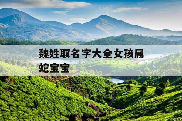 魏姓取名字大全女孩属蛇宝宝