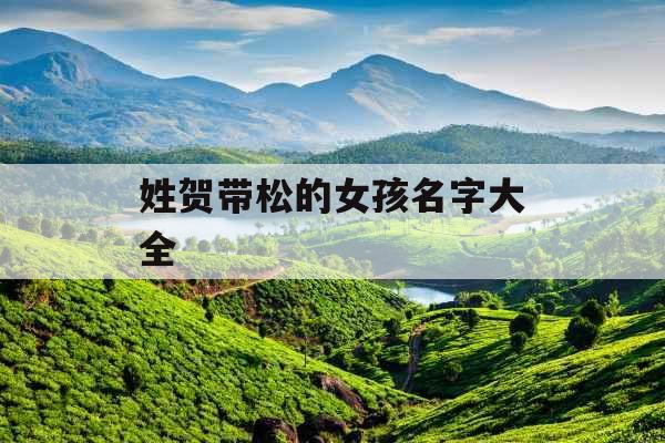 姓贺带松的女孩名字大全