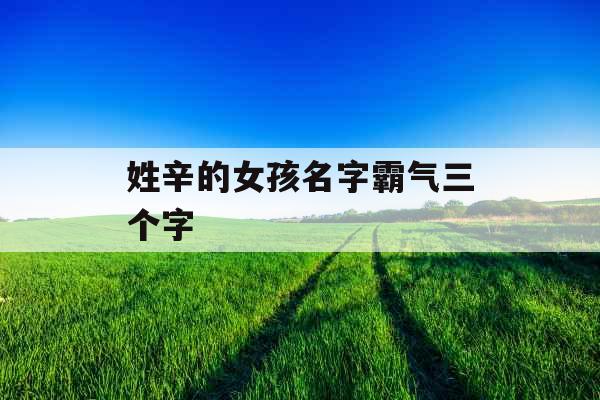 姓辛的女孩名字霸气三个字