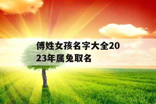 傅姓女孩名字大全2023年属兔取名 傅姓女孩名字大全2023年属兔取名