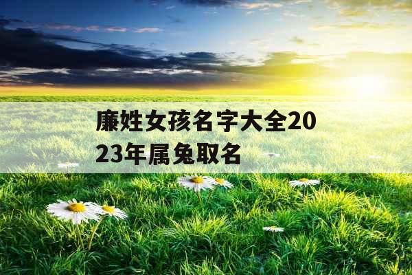 廉姓女孩名字大全2023年属兔取名