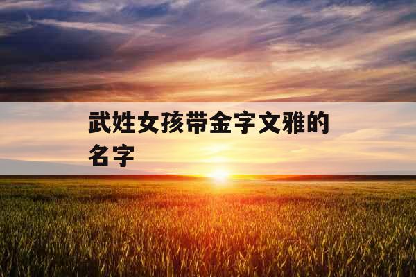 武姓女孩带金字文雅的名字