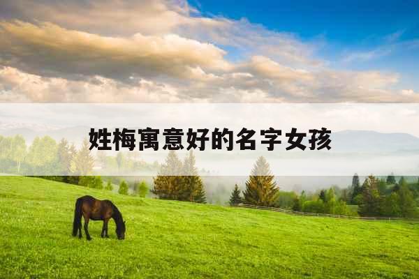 姓梅寓意好的名字女孩