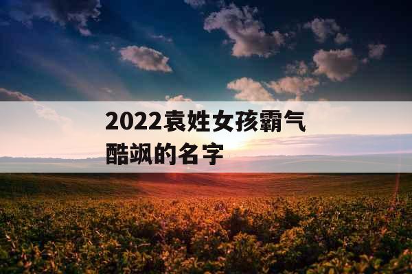 2022袁姓女孩霸气酷飒的名字