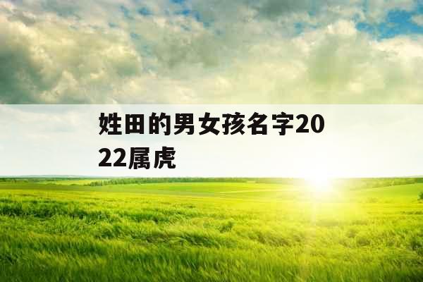 姓田的男女孩名字2022属虎
