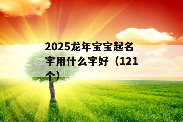 2025龙年宝宝起名字用什么字好（121个）