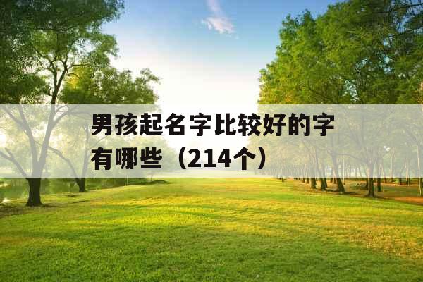 男孩起名字比较好的字有哪些（214个）