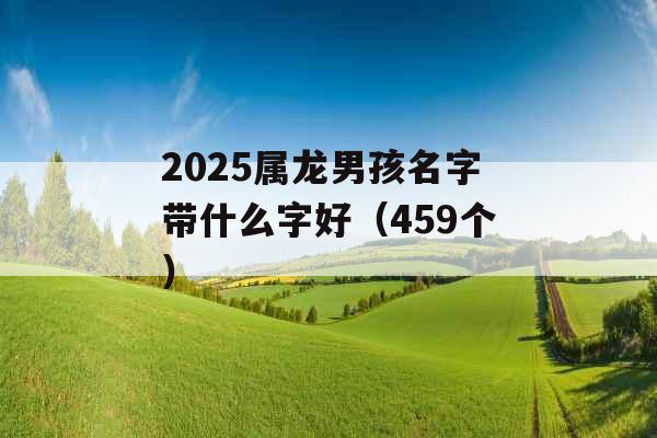 2025属龙男孩名字带什么字好（459个）