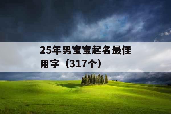 25年男宝宝起名最佳用字（317个）
