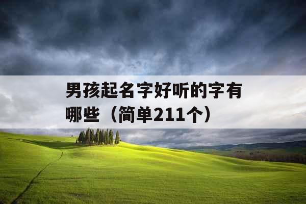男孩起名字好听的字有哪些（简单211个）