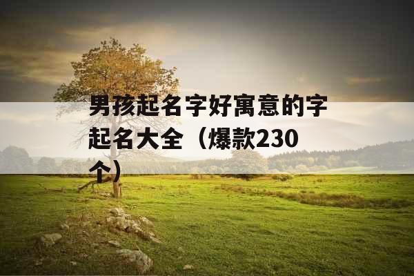 男孩起名字好寓意的字起名大全(爆款230个) 男孩起名字好寓意的字起名大全(爆款230个)
