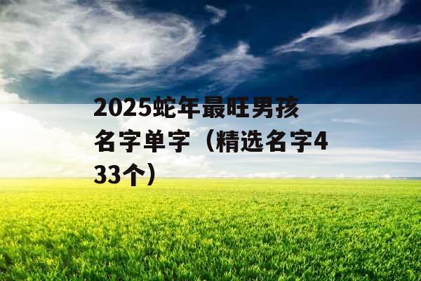 2025蛇年最旺男孩名字单字(精选名字433个) 2025蛇年最旺男孩名字单字(精选名字433个)