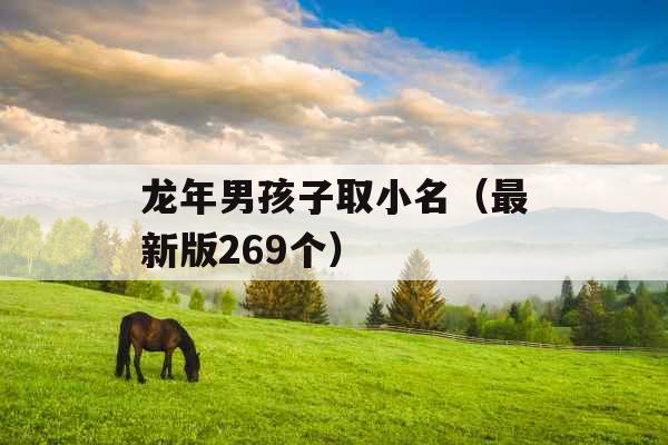 龙年男孩子取小名（最新版269个）