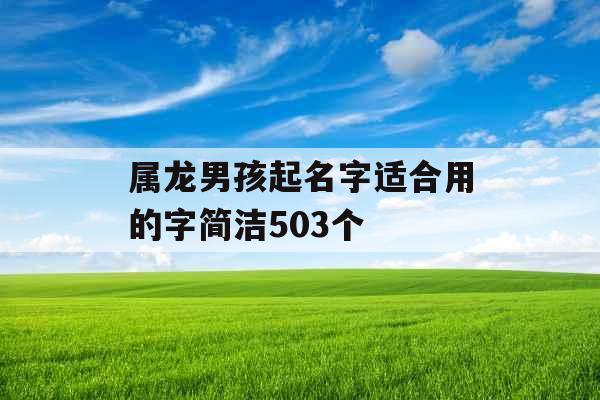 属龙男孩起名字适合用的字简洁503个