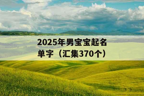 2025年男宝宝起名单字（汇集370个）