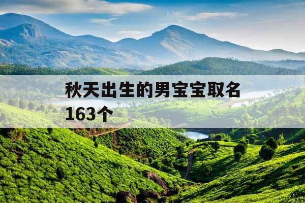 秋天出生的男宝宝取名163个